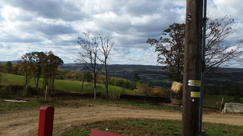 Beechwood