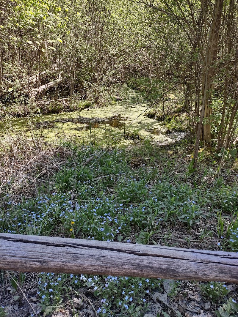 Ponderosa Nature Resort