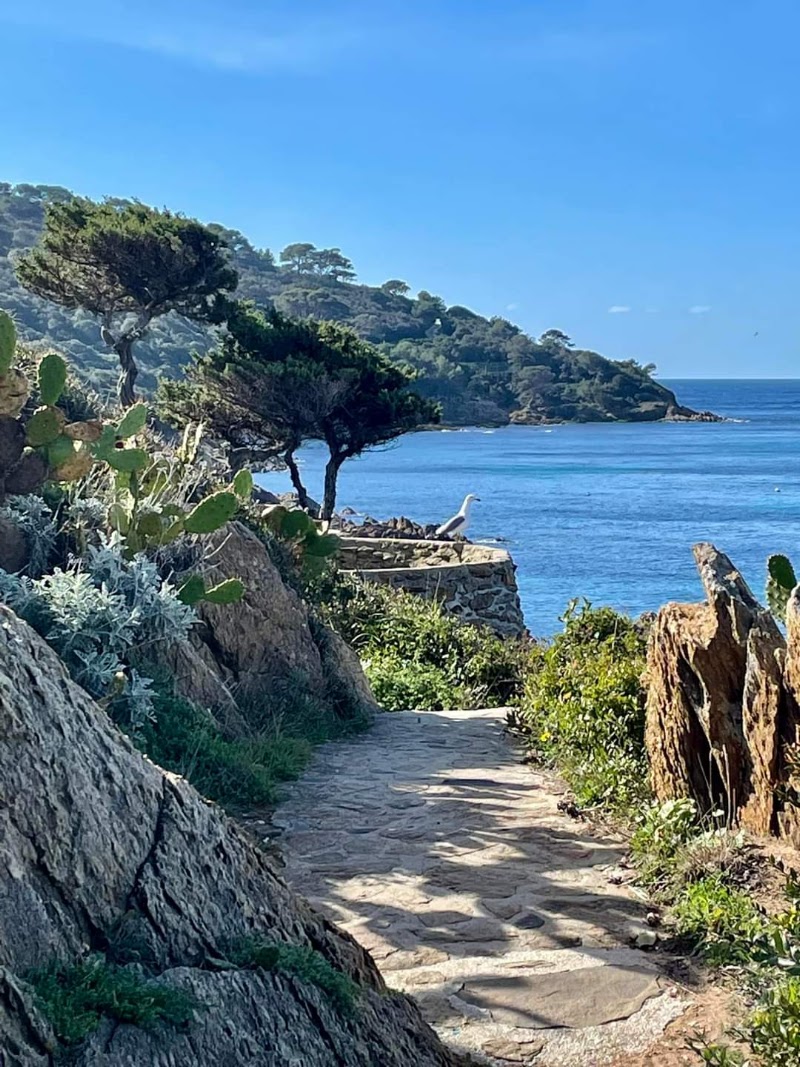 Île du Levant - Domaine Naturiste Héliopolis