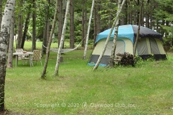 The Oakwood Club