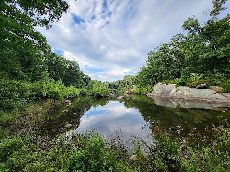 Dyer Woods Nudist Campgrounds